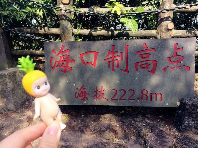 野鹅自驾：3天带你畅玩海口，椰风沐浴，体验不一样的慢旅行！