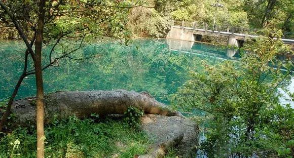借得一把西湖伞，莫负江南雨一蓑