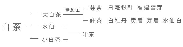什么茶叶适合蒸汽壶煮着喝,茶叶煮着喝好还是泡着喝好