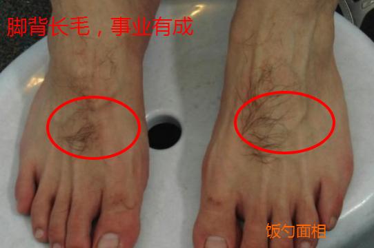 饭勺看子女面相,饭勺脸的面相特征怎样