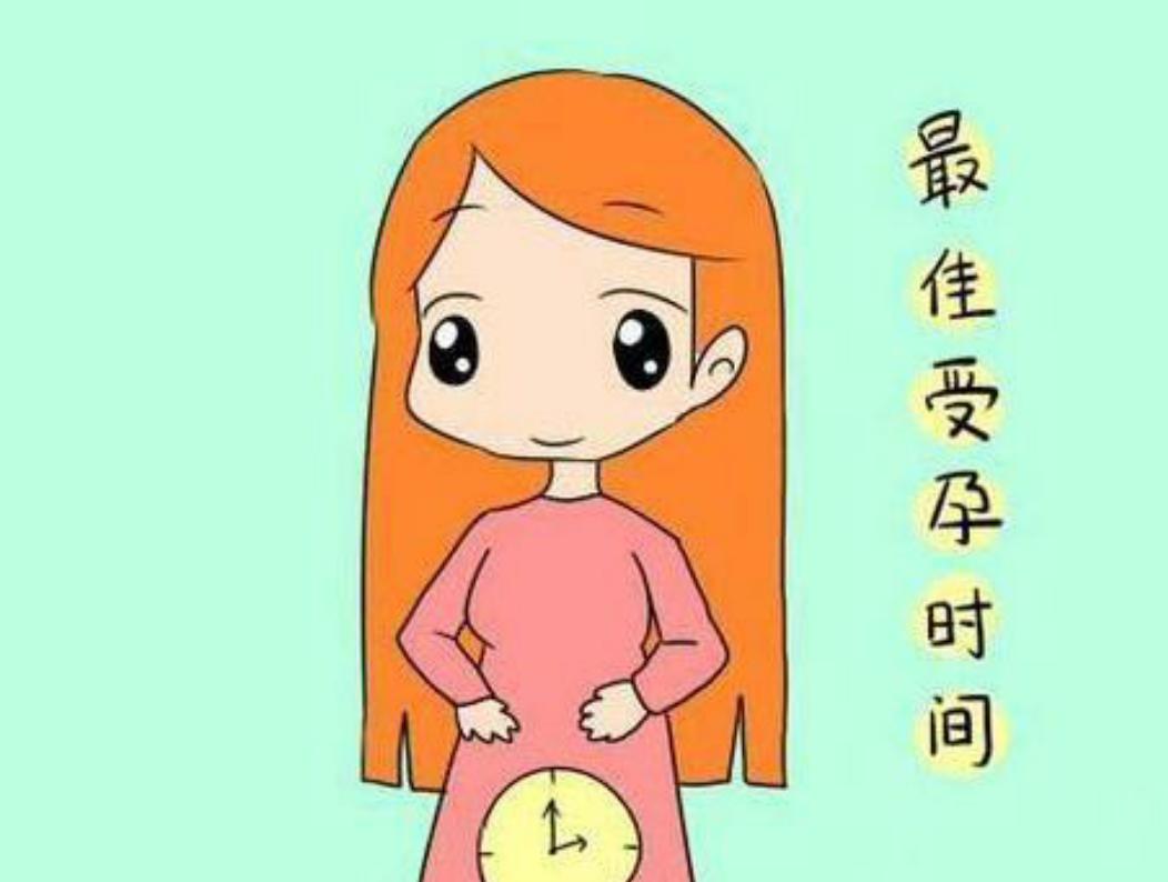 高龄女性，怎么提高怀孕命中率