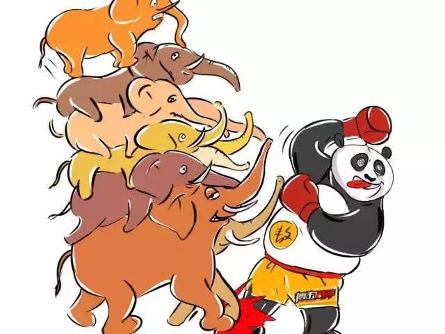 擂台被踢裆的选手后续,盘点擂台上被人羞辱的人