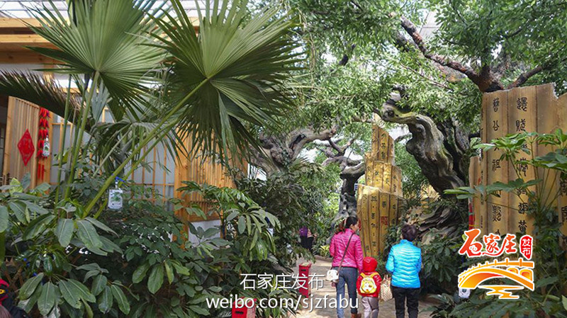 石家庄特色农家乐,石家庄农家乐去哪里最好