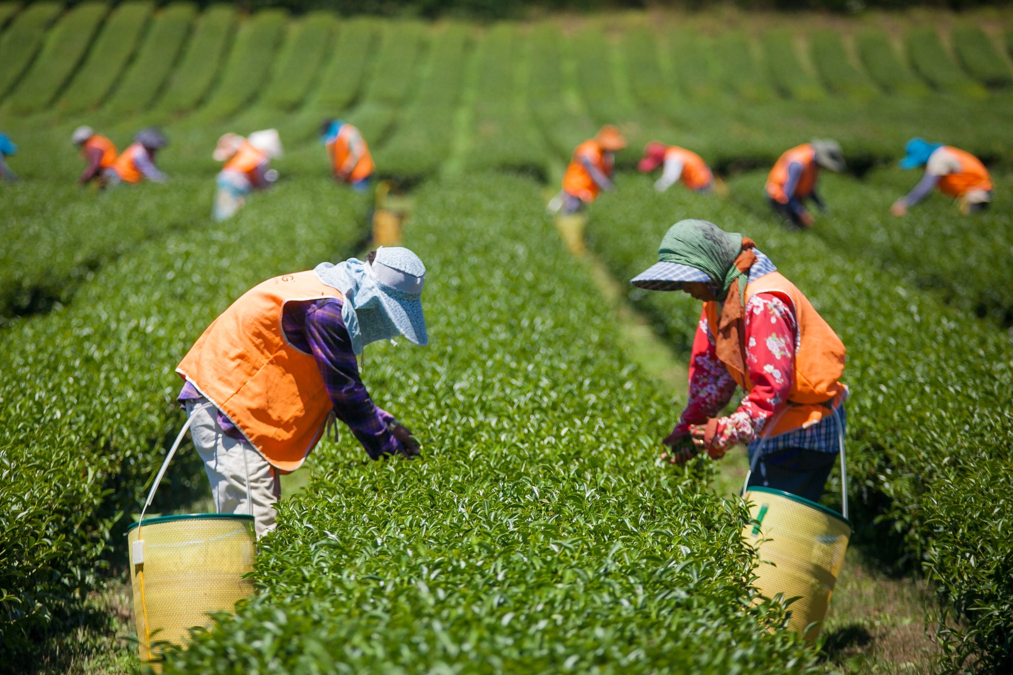 新西兰基督城风光片,新西兰皇后镇电影取景地