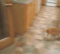 姣忔棩绗戞姤鐖嗙瑧璇綍,姣忔棩绗戞姤2014