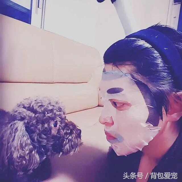 狗与面膜不可兼得，看到主人敷面膜...汪星人夺门而逃！