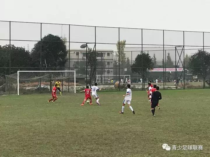 u15联赛,鲁能u15夺冠