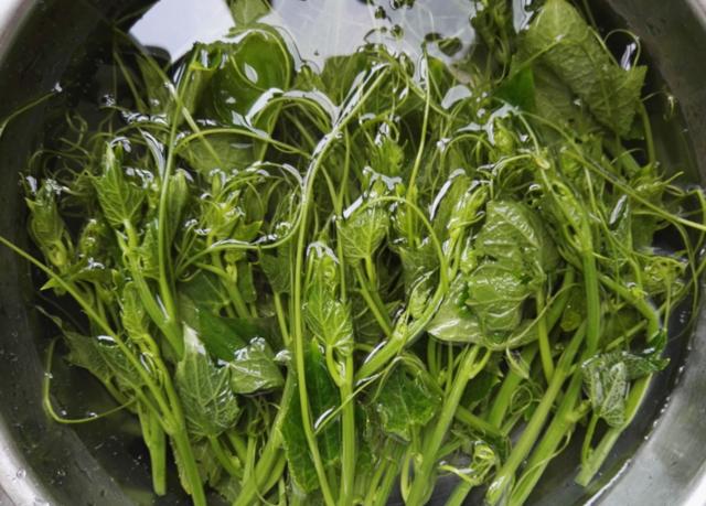 这5种蔬菜宁可扔了都别吃,这4种蔬菜建议不要买来吃