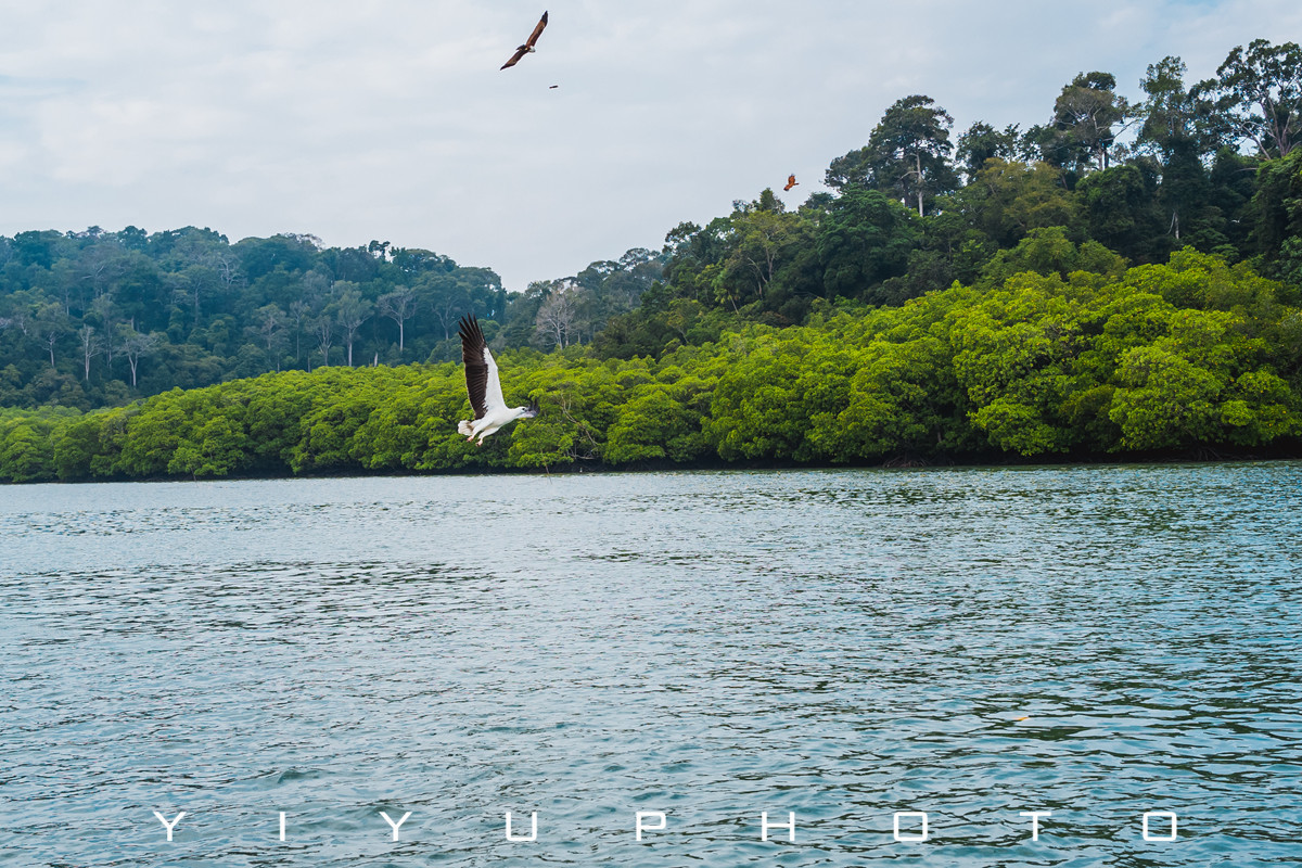 悠游一夏,马来西亚——六日自由行攻略