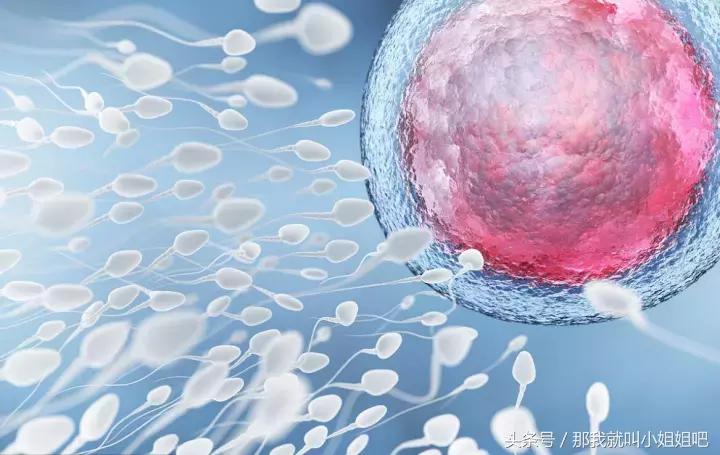 怀孕的前提条件,怀孕技巧篇教你如何快速怀孕