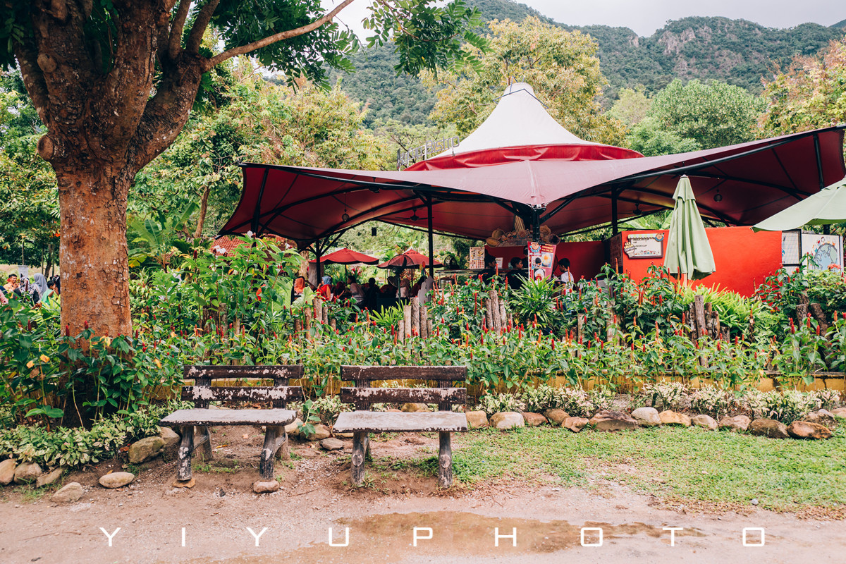 悠游一夏，马来西亚——六日自由行攻略