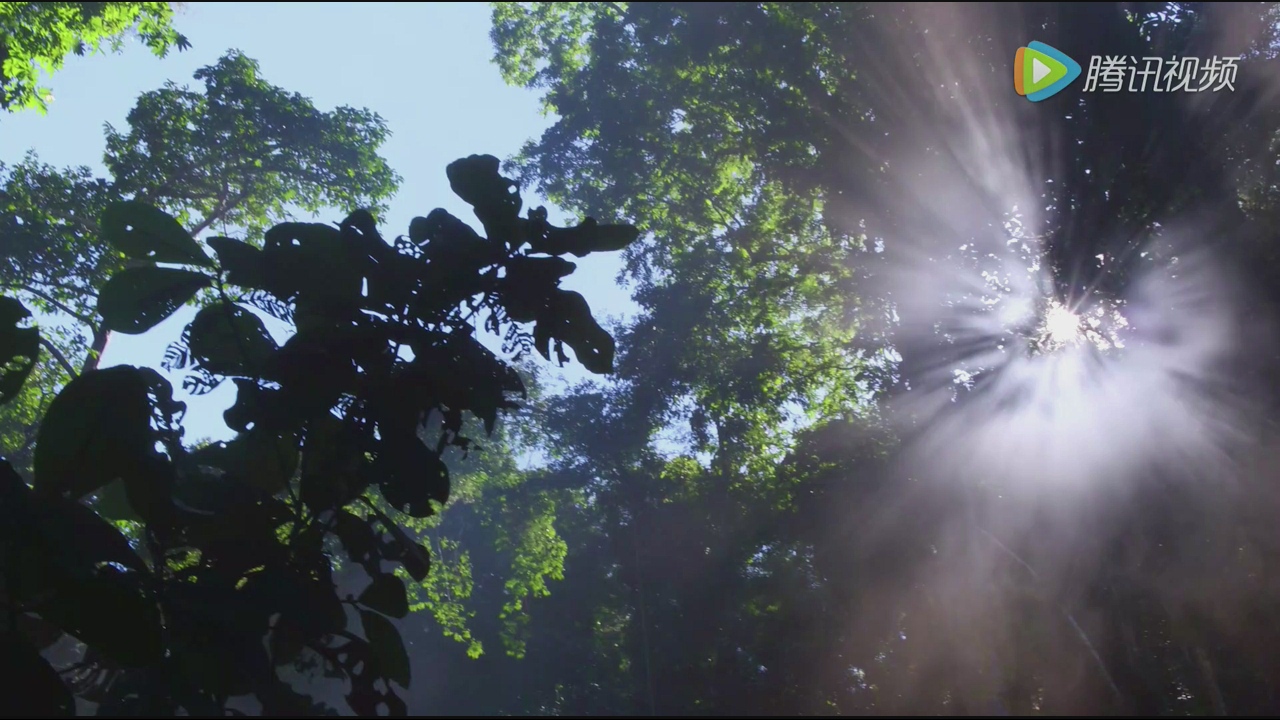 两款热销上万100元+电视盒子深度PK:谁才是性价比之王?