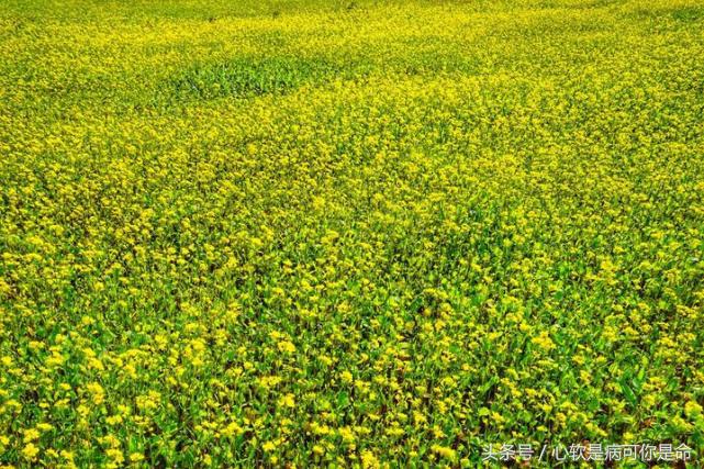 坝美世外桃源简介,坝美世外桃源旅游怎么样