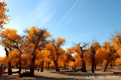 我国风景优美的地方作文三年级,三年级写一处美丽的风景作文技巧