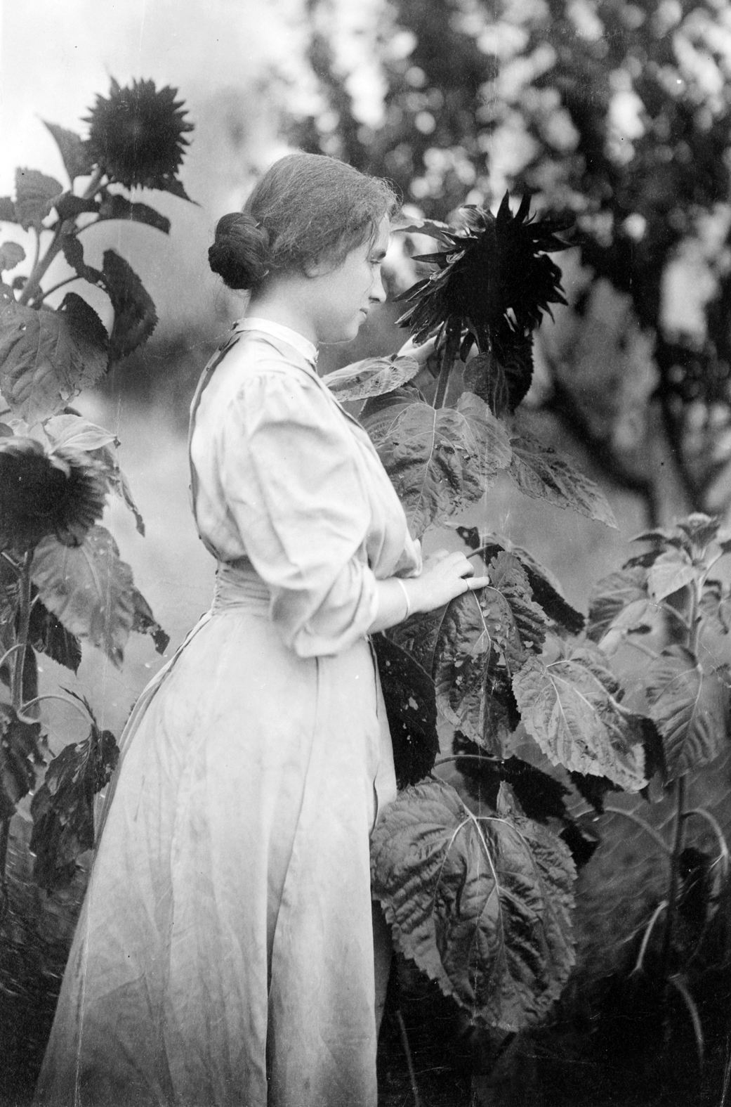 海伦凯勒为什么盲聋哑还能写书,英语好声音朗读英语故事