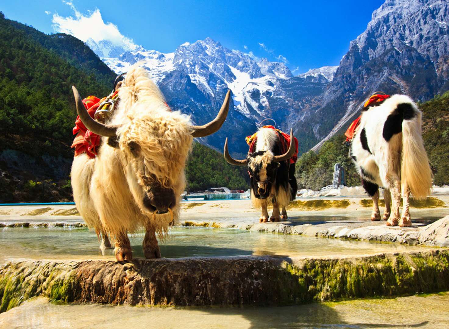 丽江游玩门票攻略,丽江旅游攻略及门票价格