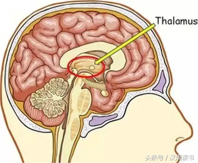 他用一根长钉从眼眶锤入那个人的头颅竟只为了治精神病