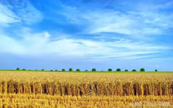 对话｜佳格天地张文鹏：服务和价值是农业大数据公司存在的意义