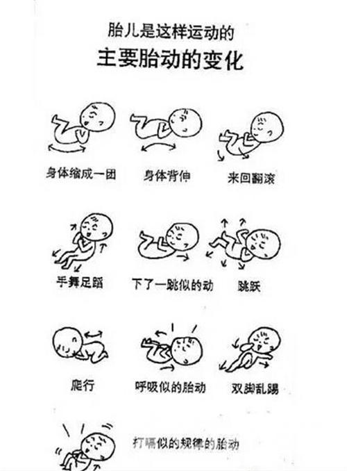 一个可以关键时刻救胎宝宝的技能——数胎动!准妈妈赶快来学!