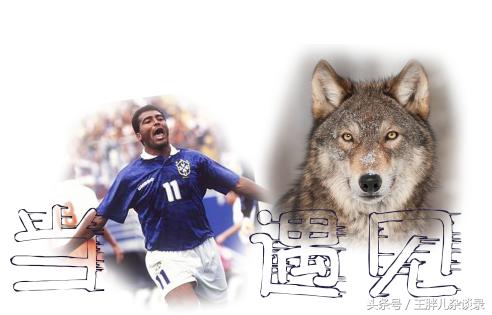 当球星遇到猫咪,当球星遇到自己的名场面