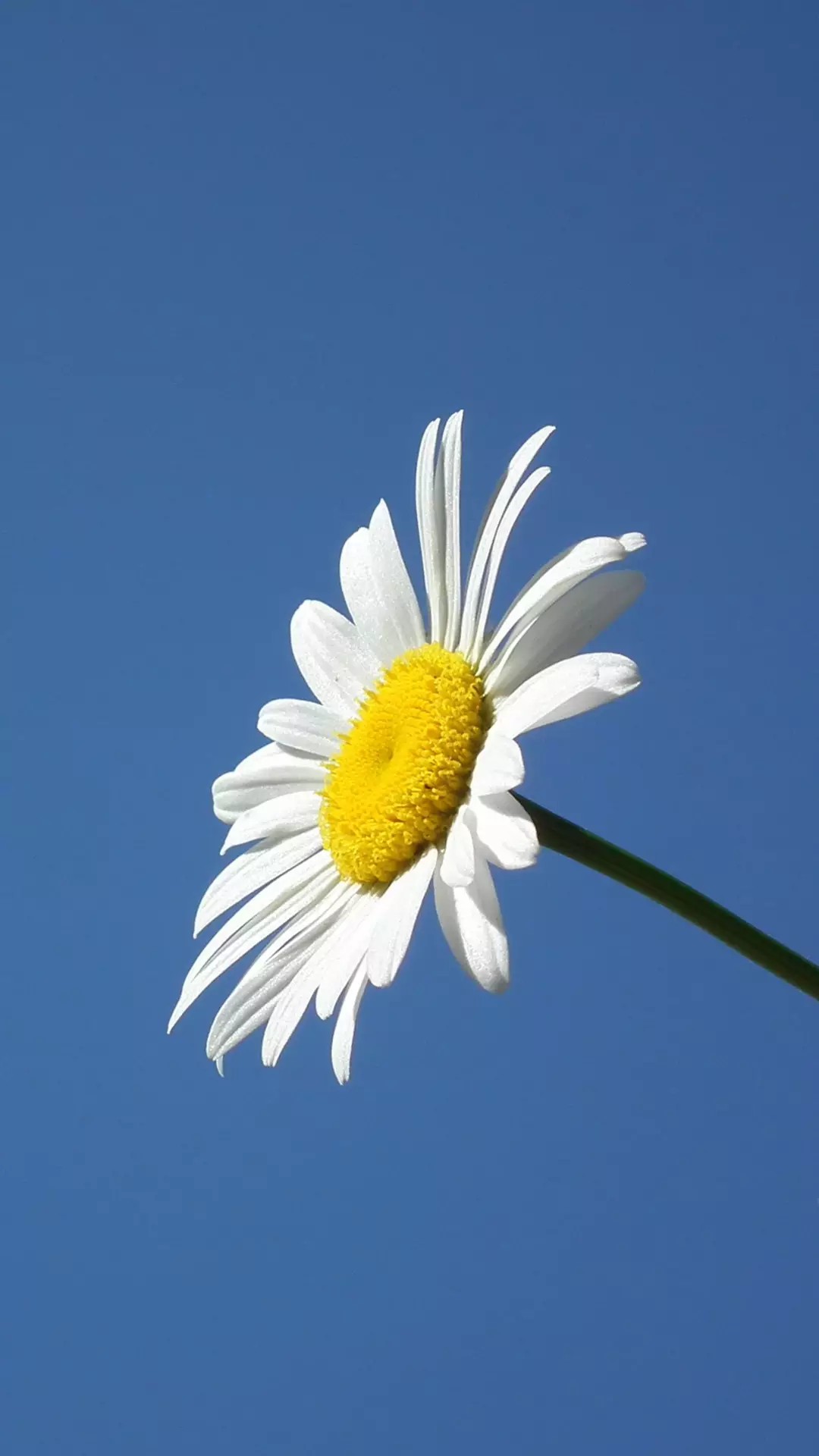 犀利超拽霸气签名句子,一句话签名简单干净