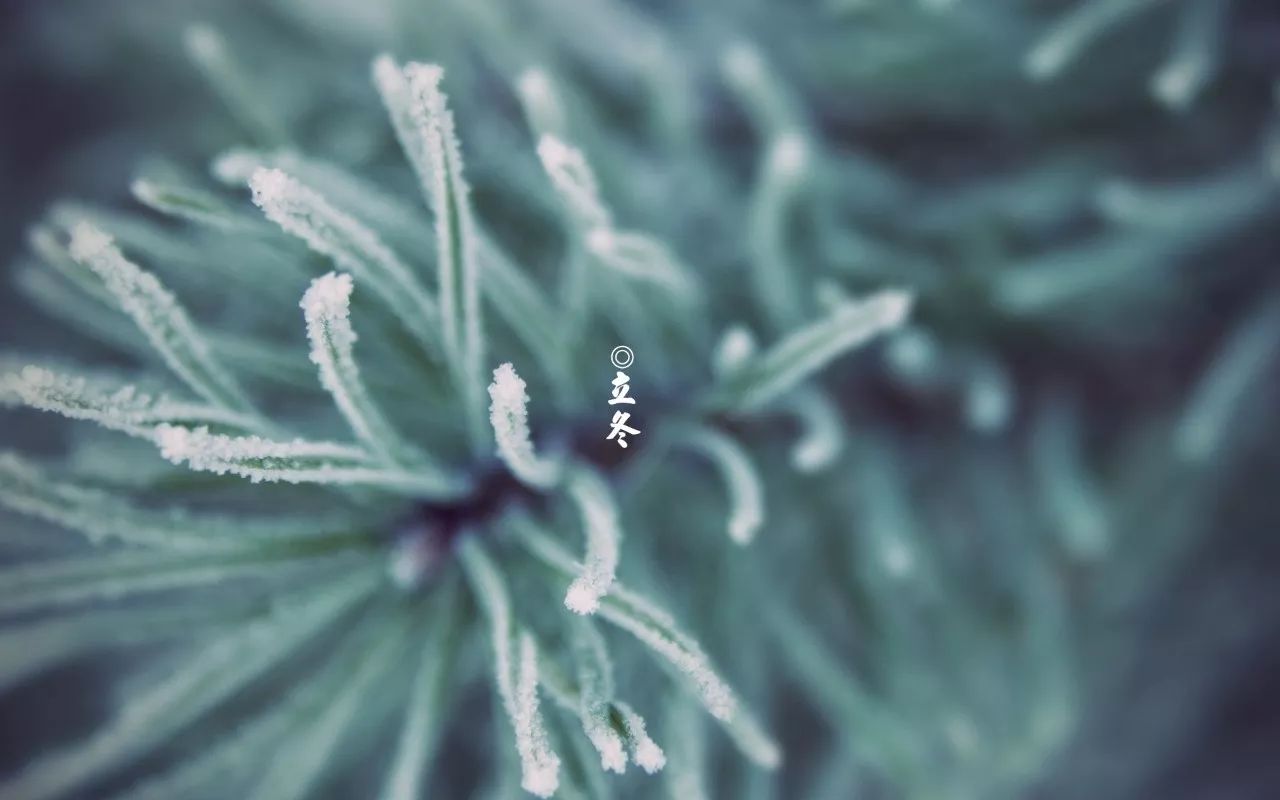 今日立冬品读最美的十首节气诗词,节气物语今日立冬
