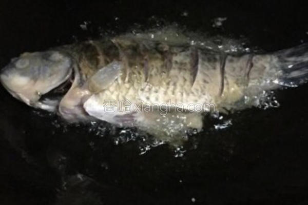 鱼炖豆腐,鱼炖豆腐和白菜家常做法