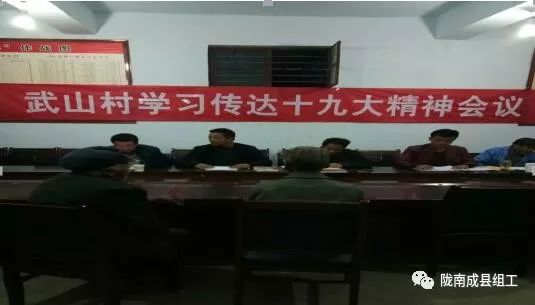 认真贯彻学习党的二十大精神,基础党支部学习十九大精神