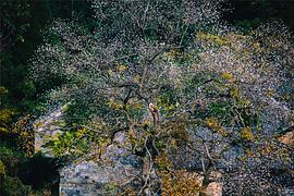 广播文章精选唯美,广播稿精选100字