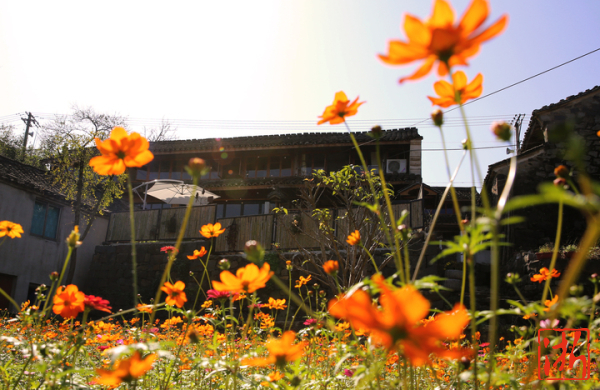 新时代·乡村传奇｜宁海南岭村：花语山村新蜕变