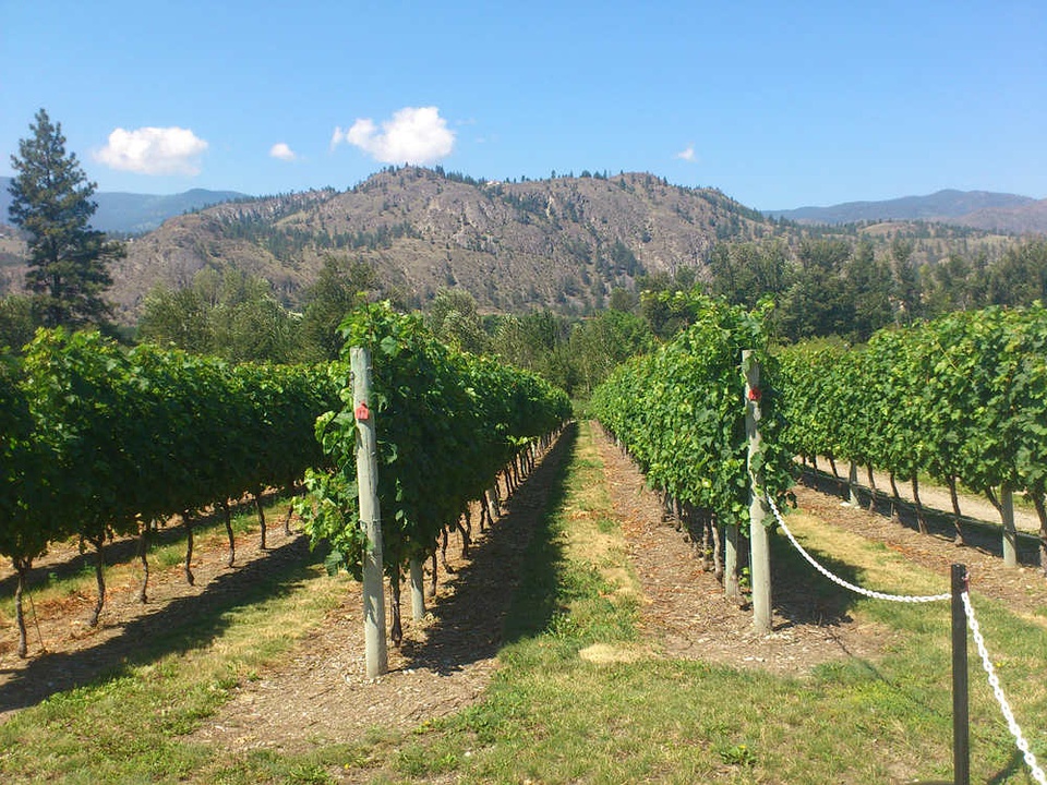 豆瓣日记完整版,豆瓣日记茉莉