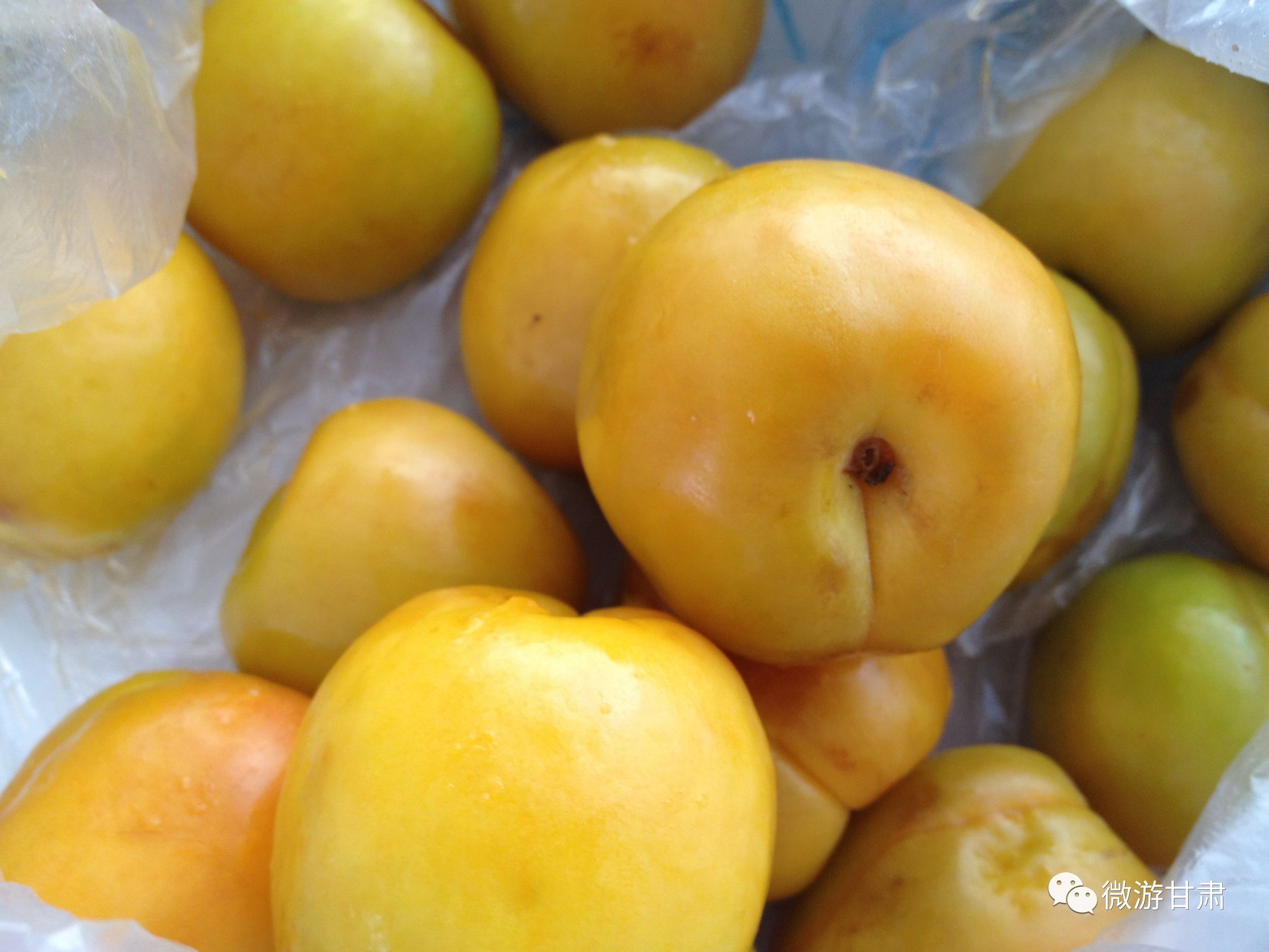 敦煌特产李广杏价格,敦煌杏子有哪些