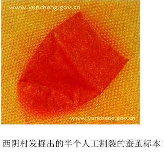 山西黄河根祖文化,山西各省的祖先