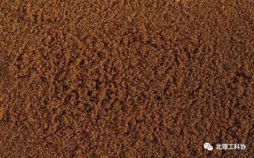 赤砂糖白砂糖红糖,红糖赤砂糖黑糖有啥区别