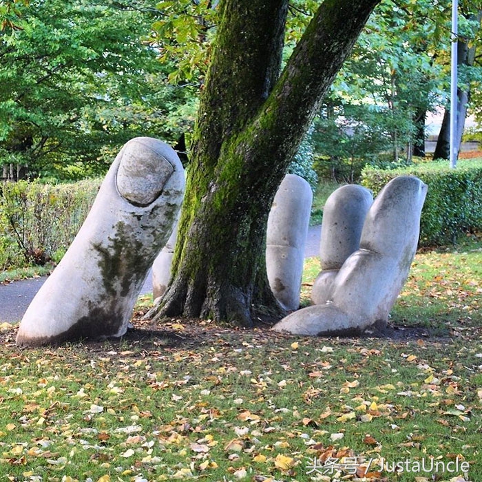 手机版张家口新闻网,张家口新闻头条视频