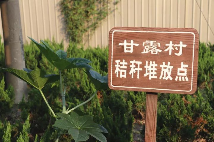 实力丨萧山靖江这个村靠“颜值”和“内涵”拿了国家级称号，原因竟然是……