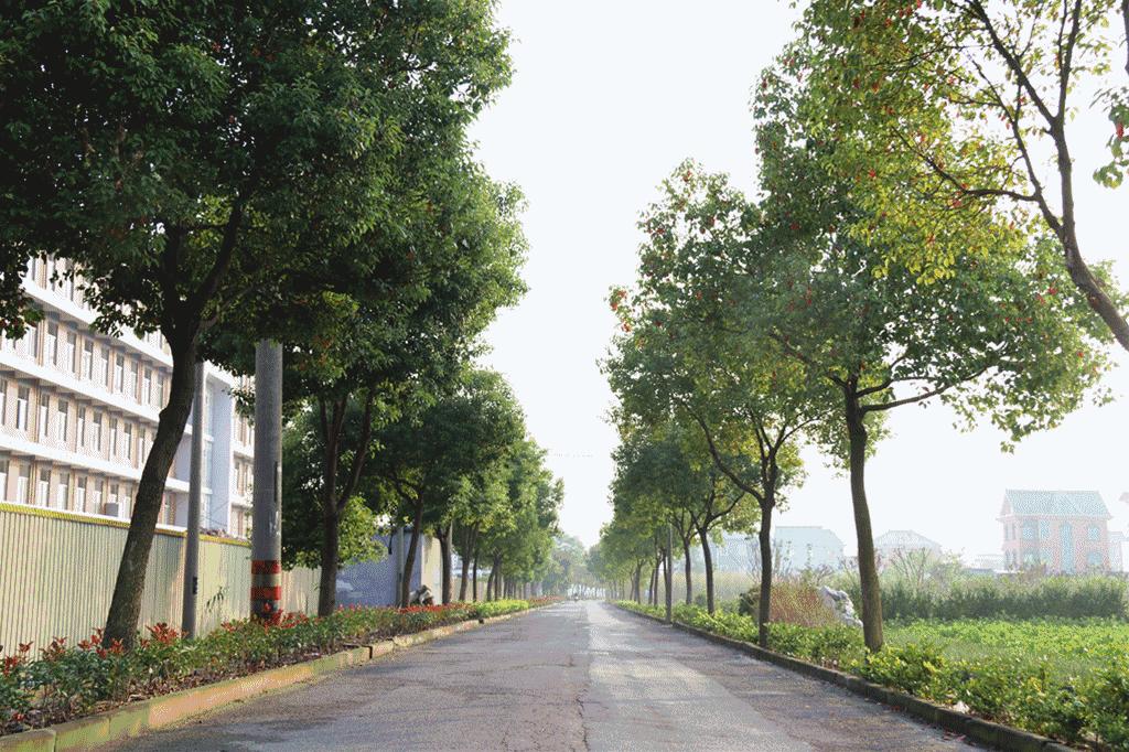 实力丨萧山靖江这个村靠“颜值”和“内涵”拿了国家级称号，原因竟然是……