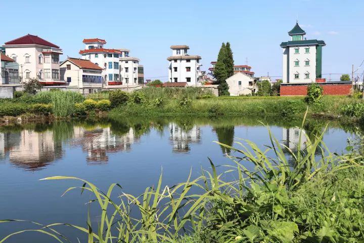 实力丨萧山靖江这个村靠“颜值”和“内涵”拿了国家级称号，原因竟然是……