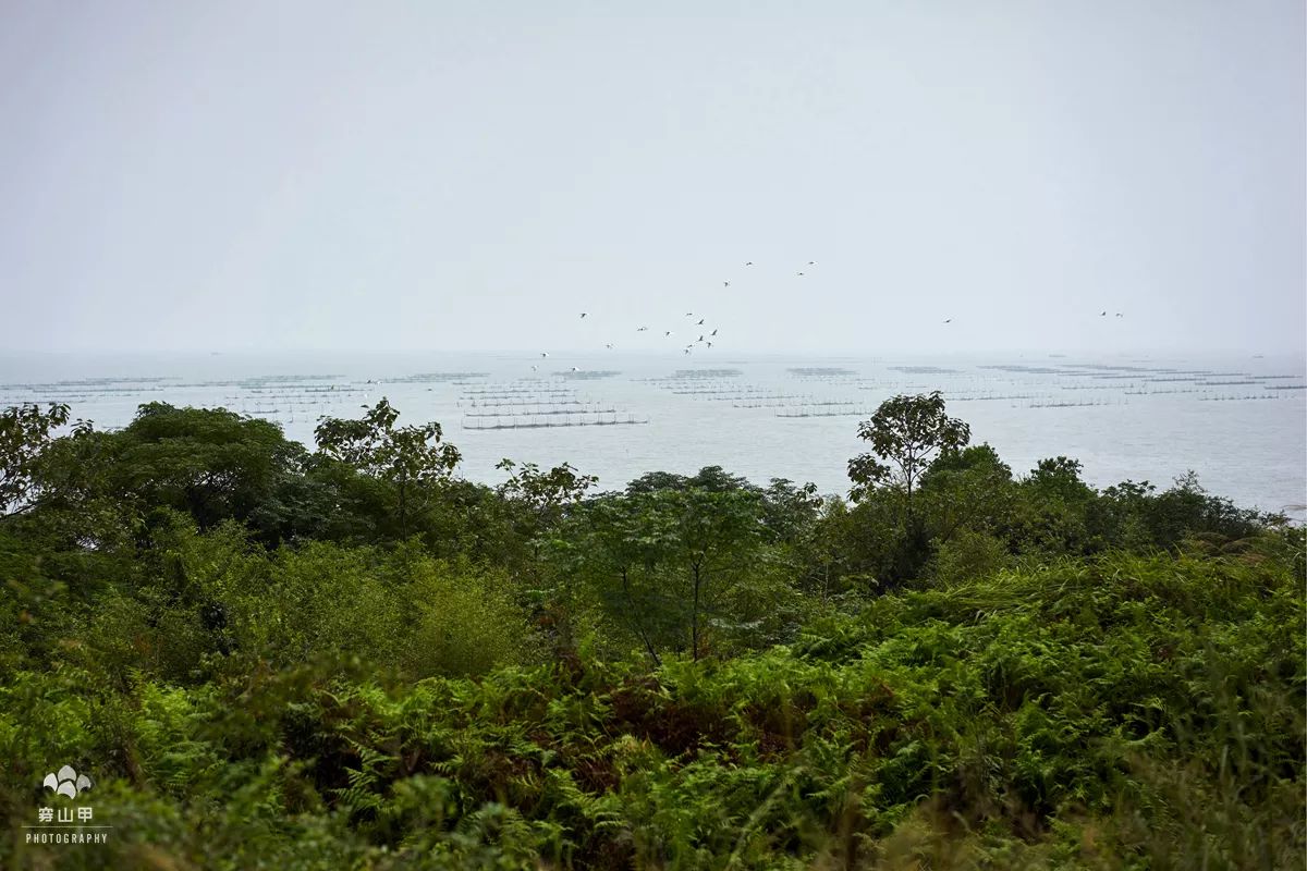 江苏省太湖一座小岛,太湖两个小岛