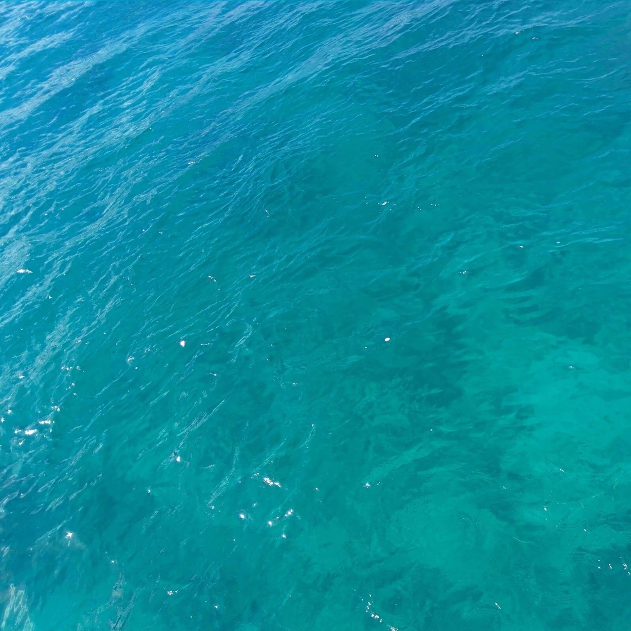 潜水零基础入门教程 (10个简单又可能被忽略的潜水技巧)