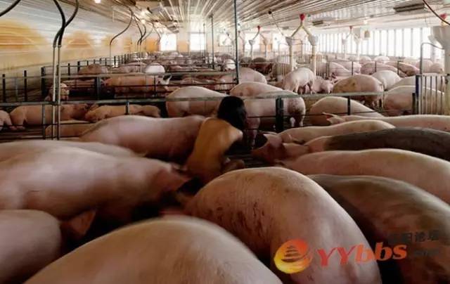 这是艺术？|美院学生让花坛“长”娃娃寓意破土而生？多少人的审美观崩塌了