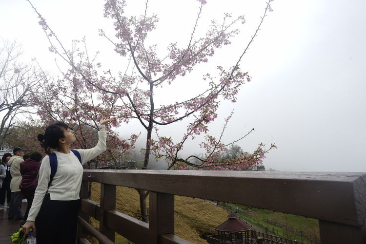 台湾游记自由行,台湾环岛旅行记