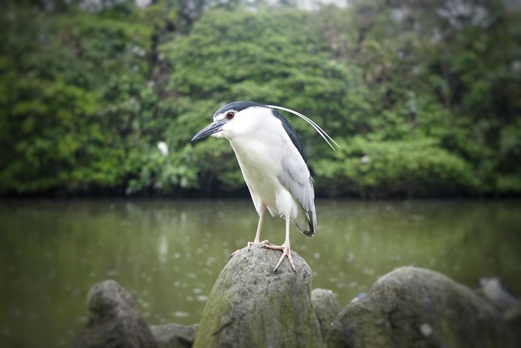 台湾游记自由行,台湾环岛旅行记