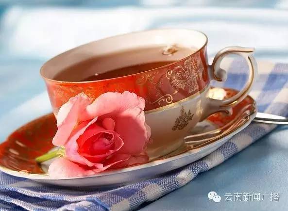 清热解毒润肺止咳生津止渴,生津润肺止咳还防感冒