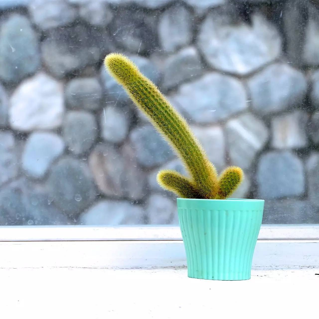 小米院子高端定制,小米智能院子