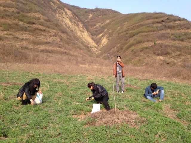 还记得，那一曲，苜蓿唱给岁月的歌