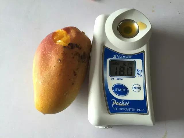 水果微商可以做什么生意,微商水果的利润有多少