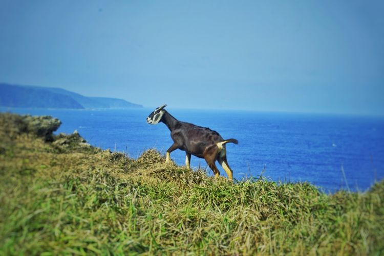 台湾游记自由行,台湾环岛旅行记
