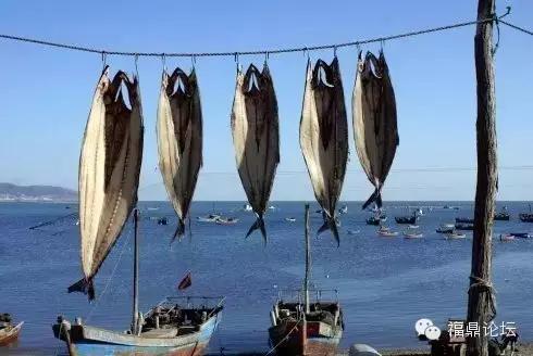 福鼎必吃的十大美食位置,福鼎各种美食介绍大全