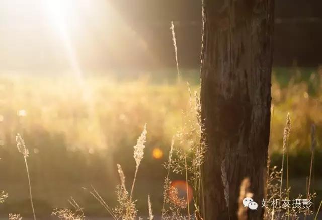 教你五招轻松告别近视眼,10秒钟学会这三招亮化设计技巧
